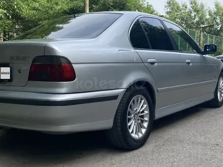 BMW 525 2002 года за 3 350 000 тг. в Шымкент – фото 6