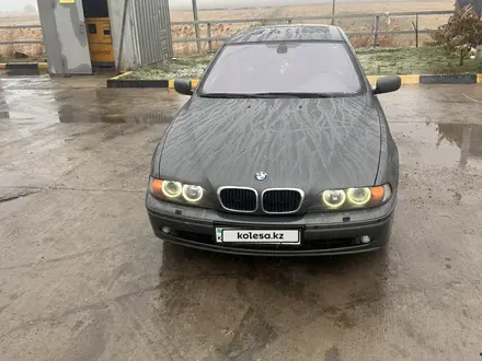 BMW 530 2002 года за 5 200 000 тг. в Тараз – фото 3