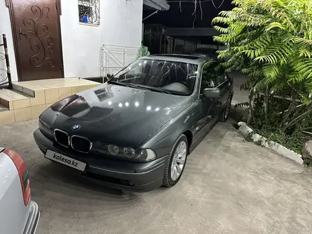 BMW 530 2002 года за 5 200 000 тг. в Тараз – фото 15