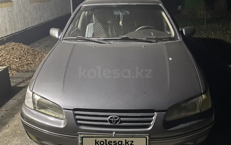 Toyota Camry 1998 года за 3 200 000 тг. в Алматы