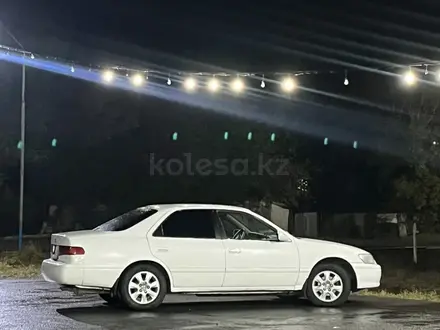 Toyota Camry 2001 года за 3 500 000 тг. в Шымкент – фото 2