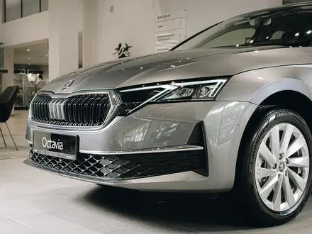 Skoda Octavia Selection 2026 года за 16 490 000 тг. в Алматы – фото 6