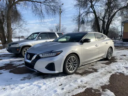 Nissan Maxima 2021 года за 18 500 000 тг. в Тараз – фото 3