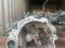Механика Коробка на VW Polo Skoda Rapid 1.6 литра за 150 000 тг. в Астана