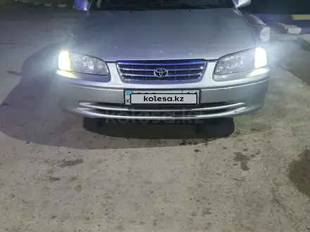 Toyota Camry 2001 года за 3 900 000 тг. в Шиели