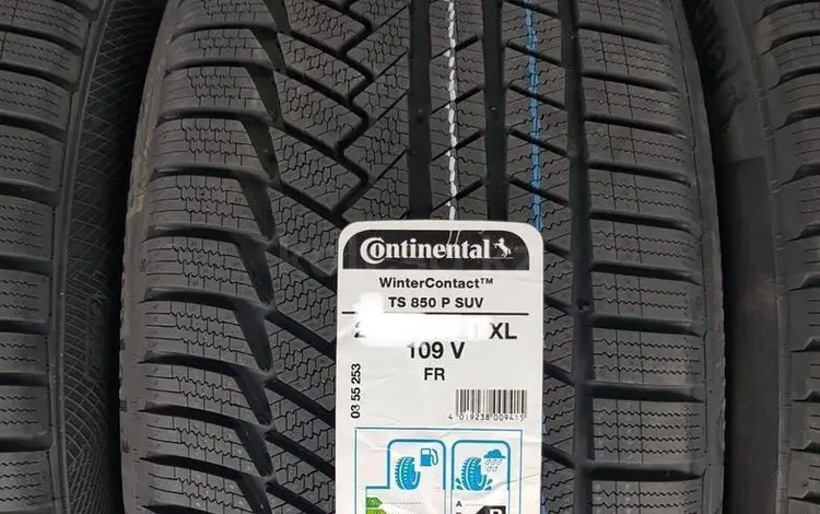 275/45/21-315/40/21 Continental TS850 за 980 000 тг. в Алматы
