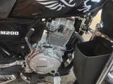 Мотоцикл Hammer —… за 480 000 тг. в Караганда – фото 5