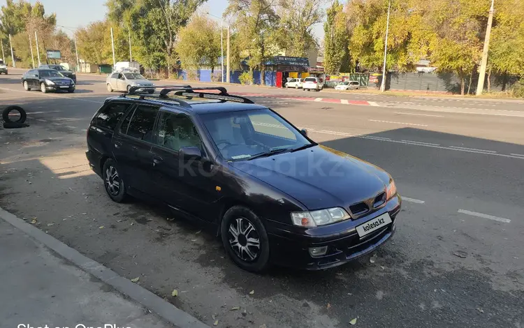 Nissan Primera 1998 годаfor1 950 000 тг. в Алматы