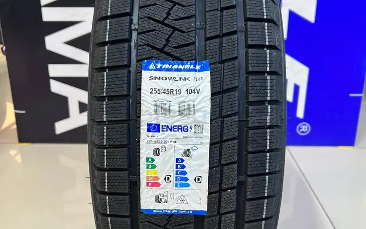 Triangle 2024 PL02 255/45R19 за 42 100 тг. в Алматы