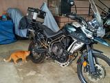 Triumph  Triupmh Tiger 800 XCA 2018 года за 5 900 000 тг. в Алматы – фото 3