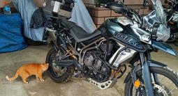 Triumph  Triupmh Tiger 800 XCA 2018 годаfor6 100 000 тг. в Алматы – фото 3