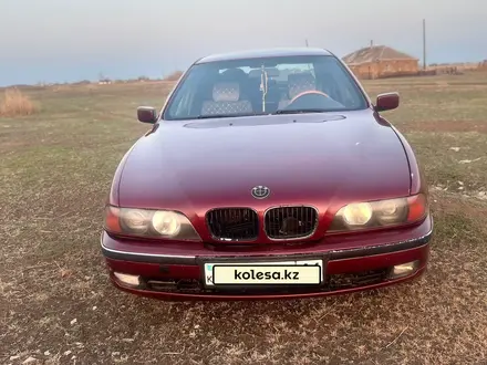BMW 523 1997 года за 2 500 000 тг. в Павлодар