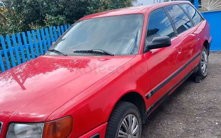 Audi 100 1992 годаүшін2 300 000 тг. в Караганда