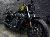 Harley-Davidson  XL1200 48 BATYR MOTO 2015 года за 5 500 000 тг. в Алматы