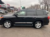 Toyota Land Cruiser 2008 года за 16 000 000 тг. в Тараз – фото 3