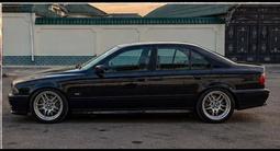 BMW 530 2001 годаүшін5 500 000 тг. в Шымкент – фото 3