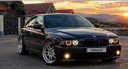 BMW 530 2001 годаүшін5 500 000 тг. в Шымкент – фото 5