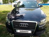 Audi Q5 2010 года за 7 150 000 тг. в Петропавловск