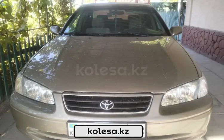 Toyota Camry 2001 года за 3 800 000 тг. в Шымкент