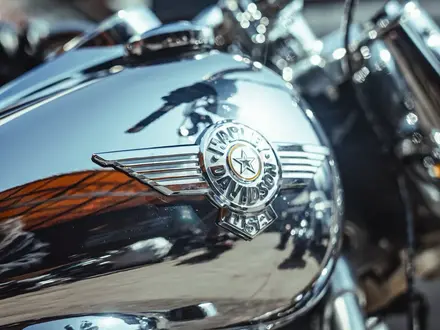 Harley-Davidson  Fat Boy 2025 года за 30 000 000 тг. в Алматы – фото 6