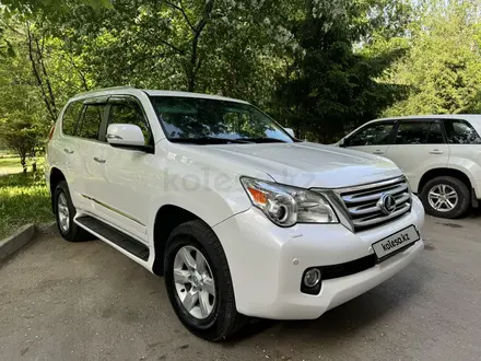 Lexus GX 460 2010 года за 17 500 000 тг. в Усть-Каменогорск – фото 16