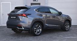 Lexus NX 200 Executive 2018 года за 14 200 000 тг. в Астана – фото 5
