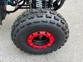 Atv  Квадроцикл GRIZZLY TX 150 кубов, Подростковый 2025 года за 485 000 тг. в Алматы – фото 37