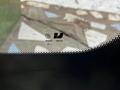 Лобовое стекло Lixiang L9, антиблик, HUD (проекция) за 350 000 тг. в Алматы – фото 2