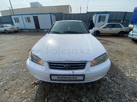 Toyota Camry 1999 года за 2 368 800 тг. в Алматы