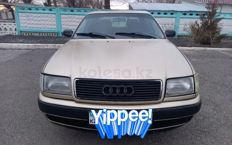Audi 100 1992 годаүшін1 750 000 тг. в Каратау