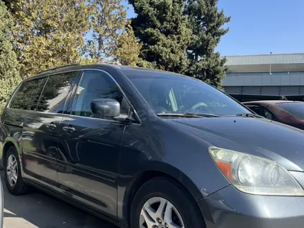 Honda Odyssey 2006 года за 6 189 999 тг. в Алматы – фото 3