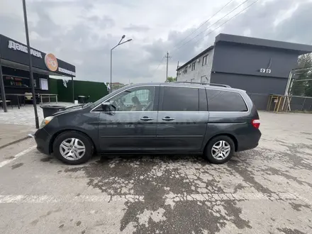 Honda Odyssey 2006 года за 6 189 999 тг. в Алматы – фото 9