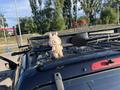 Mazda Tribute 2002 годаүшін5 500 000 тг. в Алматы – фото 15