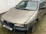 Nissan Primera 1994 годаүшін500 000 тг. в Туркестан – фото 4