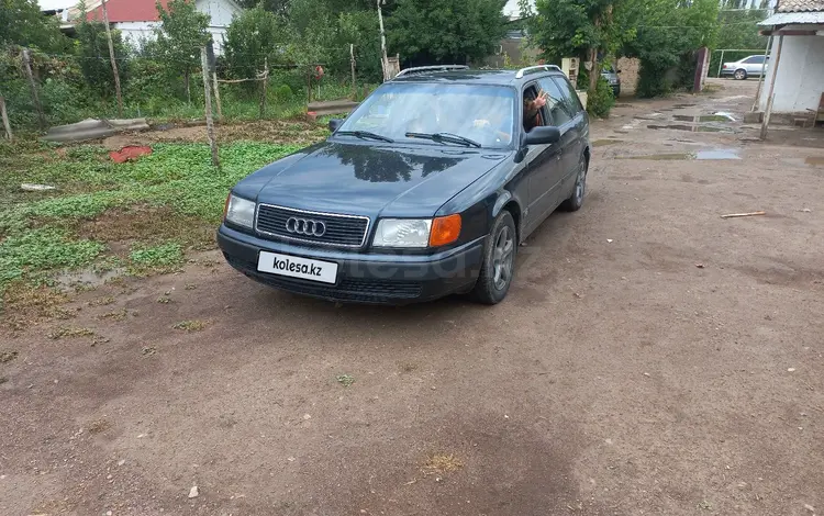 Audi 100 1992 годаүшін1 600 000 тг. в Кордай