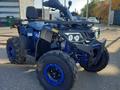  MAXCRUISER 777 ATV 200 2023 года за 995 000 тг. в Караганда – фото 11