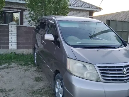 Toyota Alphard 2004 годаүшін8 500 000 тг. в Актобе – фото 3