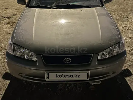 Toyota Camry 2001 года за 2 890 000 тг. в Семей