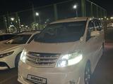 Toyota Alphard 2006 годаүшін8 700 000 тг. в Туркестан – фото 2