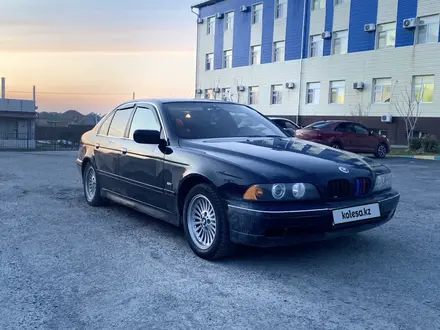 BMW 523 1998 года за 3 200 000 тг. в Шымкент – фото 2