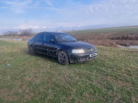 Volkswagen Passat 1997 года за 1 400 000 тг. в Уральск – фото 4