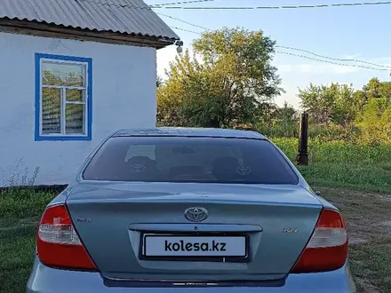 Toyota Camry 2003 года за 3 200 000 тг. в Талдыкорган – фото 2