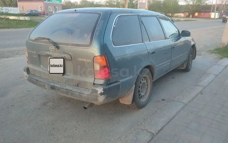 Toyota Corolla 1996 годаүшін1 250 000 тг. в Усть-Каменогорск