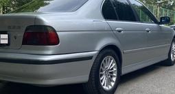 BMW 525 2002 года за 3 500 000 тг. в Шымкент – фото 4