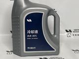 Антифриз оригинальный Lixiang за 27 000 тг. в Астана