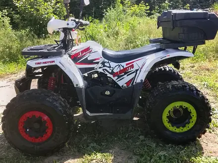 Tao Motor 2024 года за 330 000 тг. в Алматы – фото 3