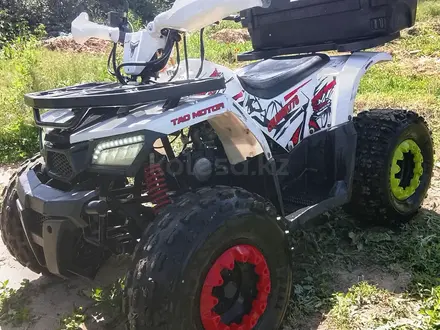 Tao Motor 2024 года за 330 000 тг. в Алматы – фото 4