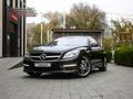 Mercedes-Benz CL 63 AMG 2010 года за 20 500 000 тг. в Алматы