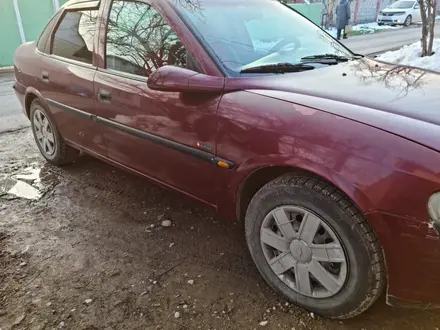 Opel Vectra 1998 года за 999 000 тг. в Шымкент