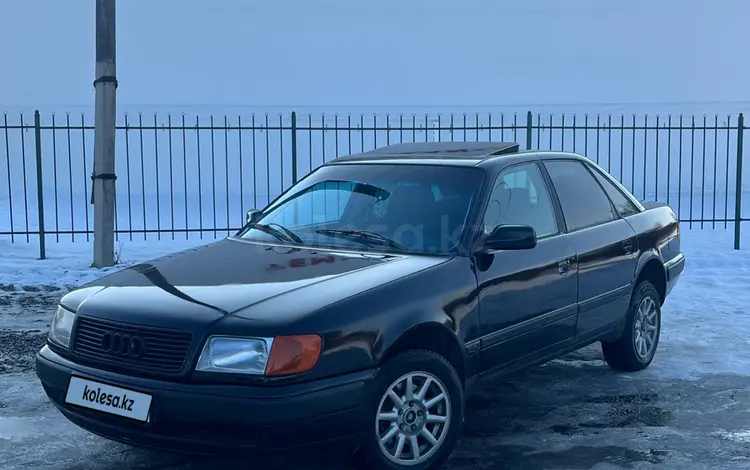 Audi 100 1992 годаүшін1 600 000 тг. в Талдыкорган